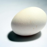 Ovos de galinha têm menos calorias que os de codorna (Foto: SXC.hu)