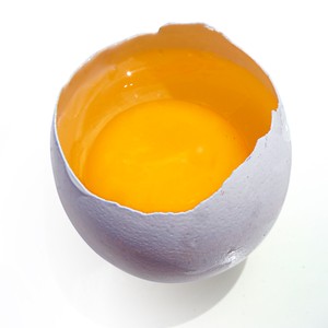Um ovo tem apenas 70 calorias e inúmeros nutrientes (Foto: SXC.hu)