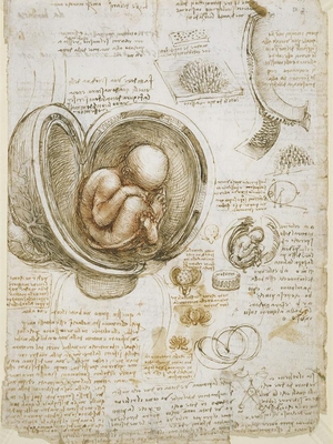 Desenho de Leonardo Da Vinci (Foto: Reprodução)