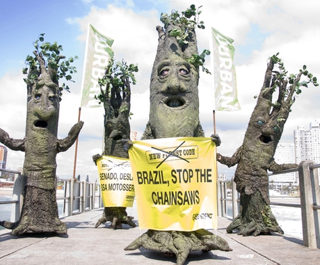 Em Durban, na África do Sul, manifestantes do Greenpeace fazem protesto contra o novo Código Florestal brasileiro (Foto: John Robinson / Greenpeace / AP)