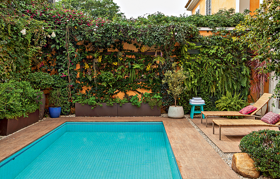 Muro verde - Casa e Jardim | Plantas
